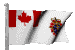 canadian_military_clr